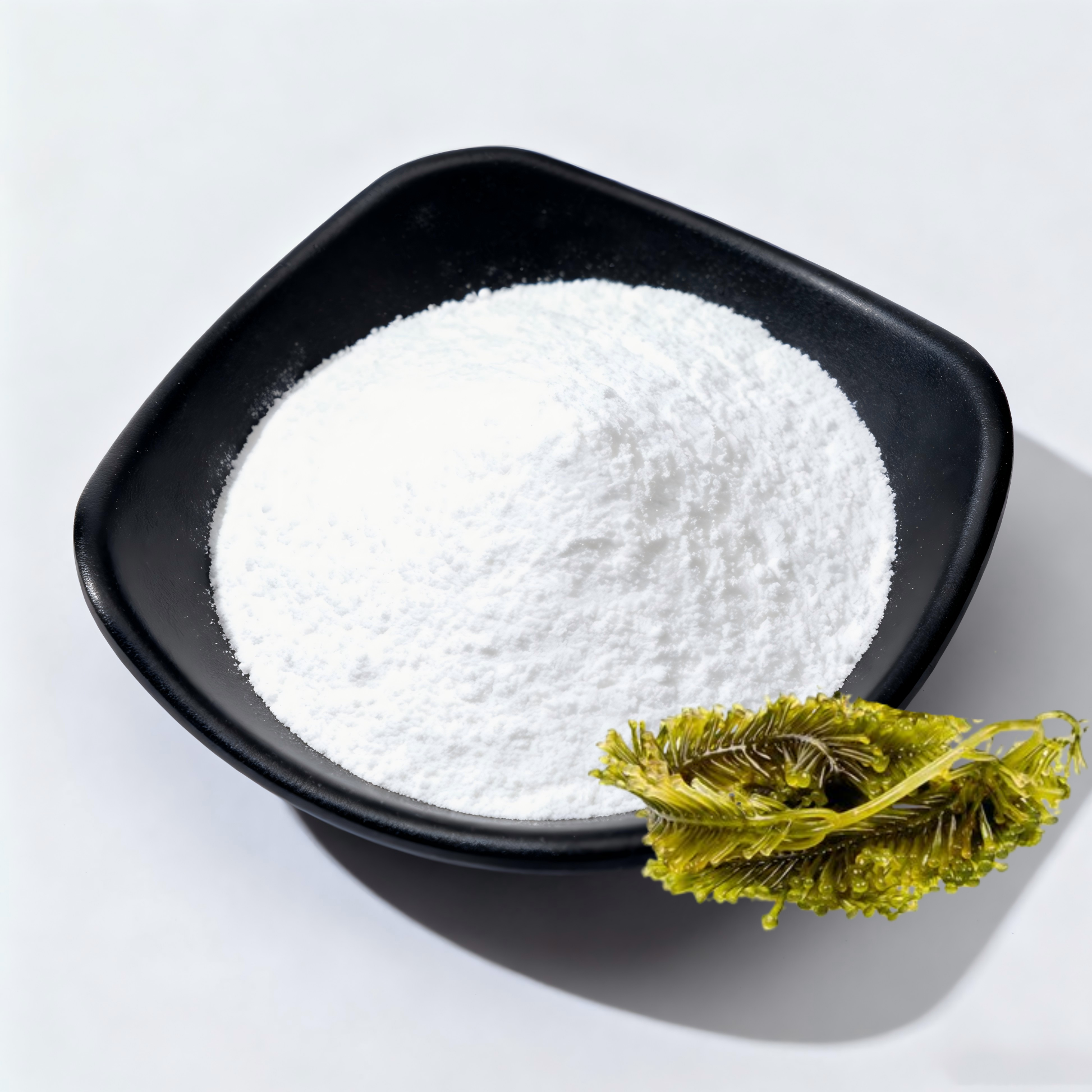 blue-wise-sodium-alginate-2