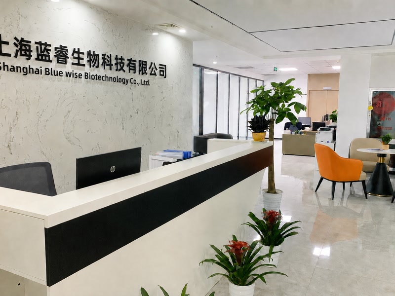 blue-wise-09-company-reception