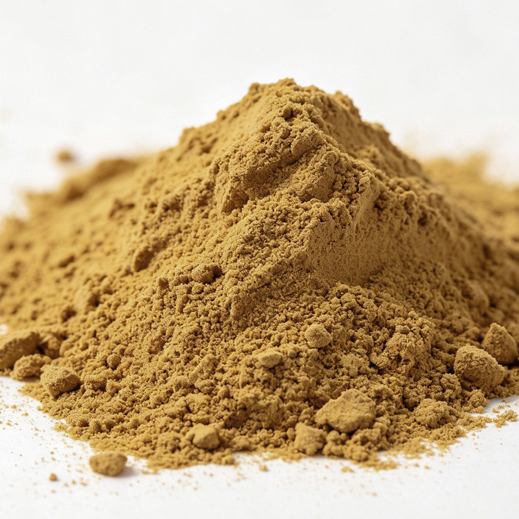 High Quality Wild Organic Ginkgo Biloba Powder-Wholesale Immunity-Boosting Herbal Supplement with Drum Packaging Customisable CAS 90045-36-6 - 图片 2