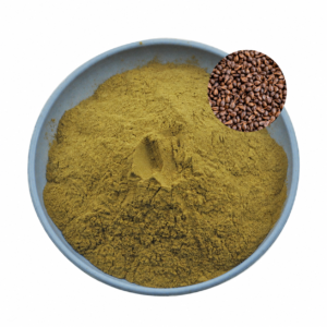 HOT Selling Bulk Pure Natura Grape Seed Extract Supplement Grape Seeds for Sale Grape Seed CAS 84929-27-1