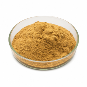 Natural Milk Thistle Extract 80% Silymarin Powder Silybin with Bulk Price CAS 84604-20-6