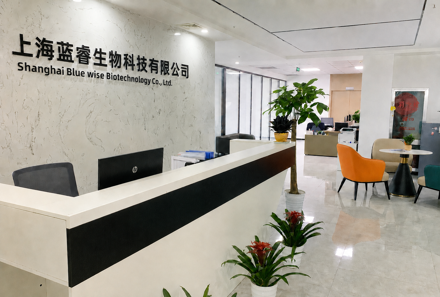 blue-wise-office